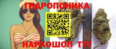 ALPHA-PVP Малгобек